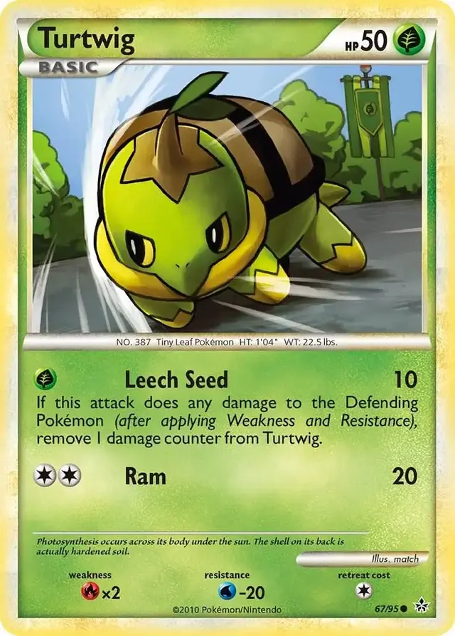 Turtwig - Pokemon Unleashed #67