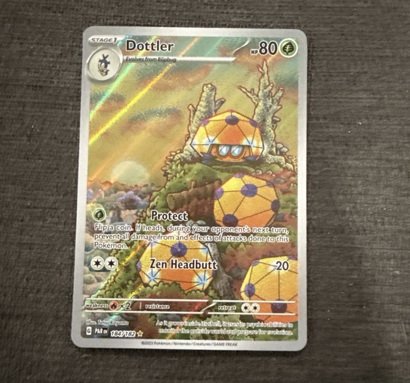 dottler pokemon card value Dottler 184/182 SV04: Paradox Rift Holo for sale online