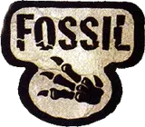 Pokemon Fossil set logo