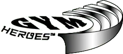 Pokemon Gym Heroes set logo